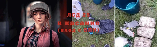 сатива Балабаново