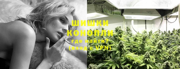 сатива Балабаново